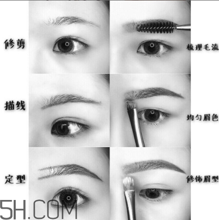 �������ʺ��Լ���üë ����ϸ��ü����ͼ��